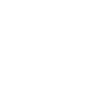 The Continental Flag Symbol Icon