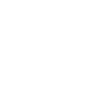 Education and the American Dream Theme Icon