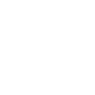 Wings Symbol Icon