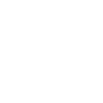 Donald Trump Symbol Icon