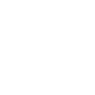 The Effects of Incarceration Theme Icon
