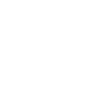 The Wild West Symbol Icon