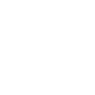 The Apple and Its Leaf Symbol Icon