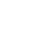 The Tortoise Symbol Icon