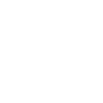 Thunder Symbol Icon