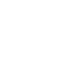 Birds Symbol Icon