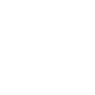 The Gun Symbol Icon