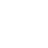 Resistance Theme Icon