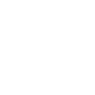Flag Symbol Icon