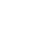 Crime and the Police Theme Icon