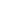 Money as Security Theme Icon