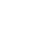 Democracy’s Guardrails Symbol Icon