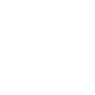 The Robur (The Car) Symbol Icon