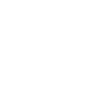 The Hurricane Bird Symbol Icon