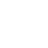 Birds (Swallows) Symbol Icon