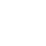 Brooklyn Bridge Symbol Icon