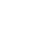 Raptors Symbol Icon