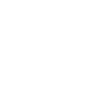 Minnesota Symbol Icon