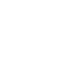 Activism and Resistance Theme Icon