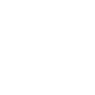 The Texas Bull Symbol Icon