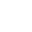 The Texas Bull Symbol Icon