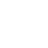 The L Button Symbol Icon