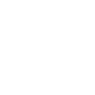 Protest and Power Theme Icon