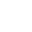 The Tiger Symbol Icon