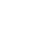 Surveillance, Fear, and Discrimination  Theme Icon