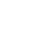 Hawkin’s Coat Symbol Icon