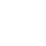 The House  Symbol Icon