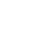 Fascism Theme Icon