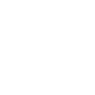 Peugeot Symbol Icon