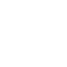 Wings Symbol Icon