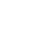 Money and Success Theme Icon