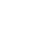 Flight Symbol Icon