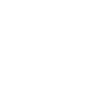 Surveillance and Privacy Theme Icon
