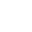 Brazil Symbol Icon