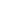 The Lion Symbol Icon