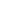 Government and Power Theme Icon