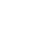 The Ducks in the Lagoon in Central Park Symbol Icon
