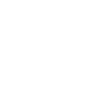 Privacy Theme Icon