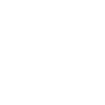 Breach Symbol Icon