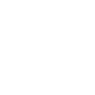 Separation of Powers, Legal Activism, and Minority Rights Theme Icon