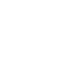 Locks/Wings Symbol Icon