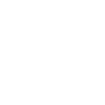 Meaning and Mortality Theme Icon