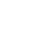 Butterflies  Symbol Icon