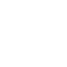 The House Symbol Icon