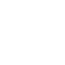 The Fly Symbol Icon