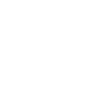 The Fly Symbol Icon